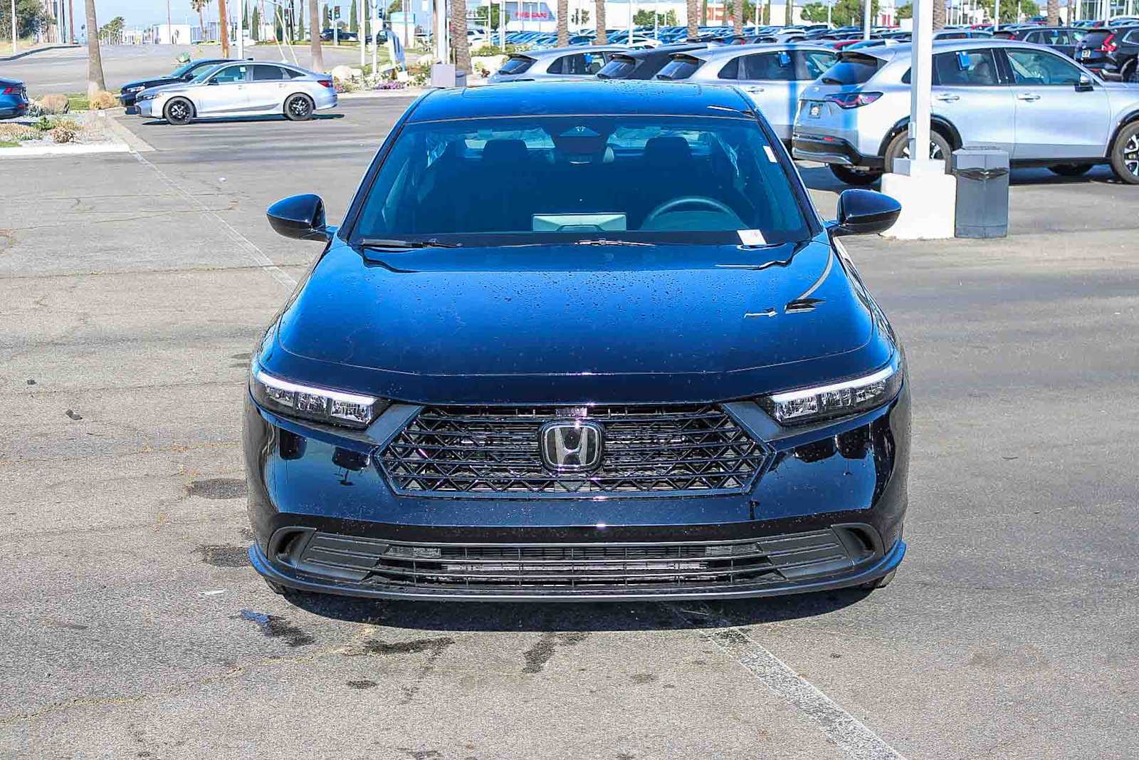 Thumbnail: 2026 Honda Accord - 2