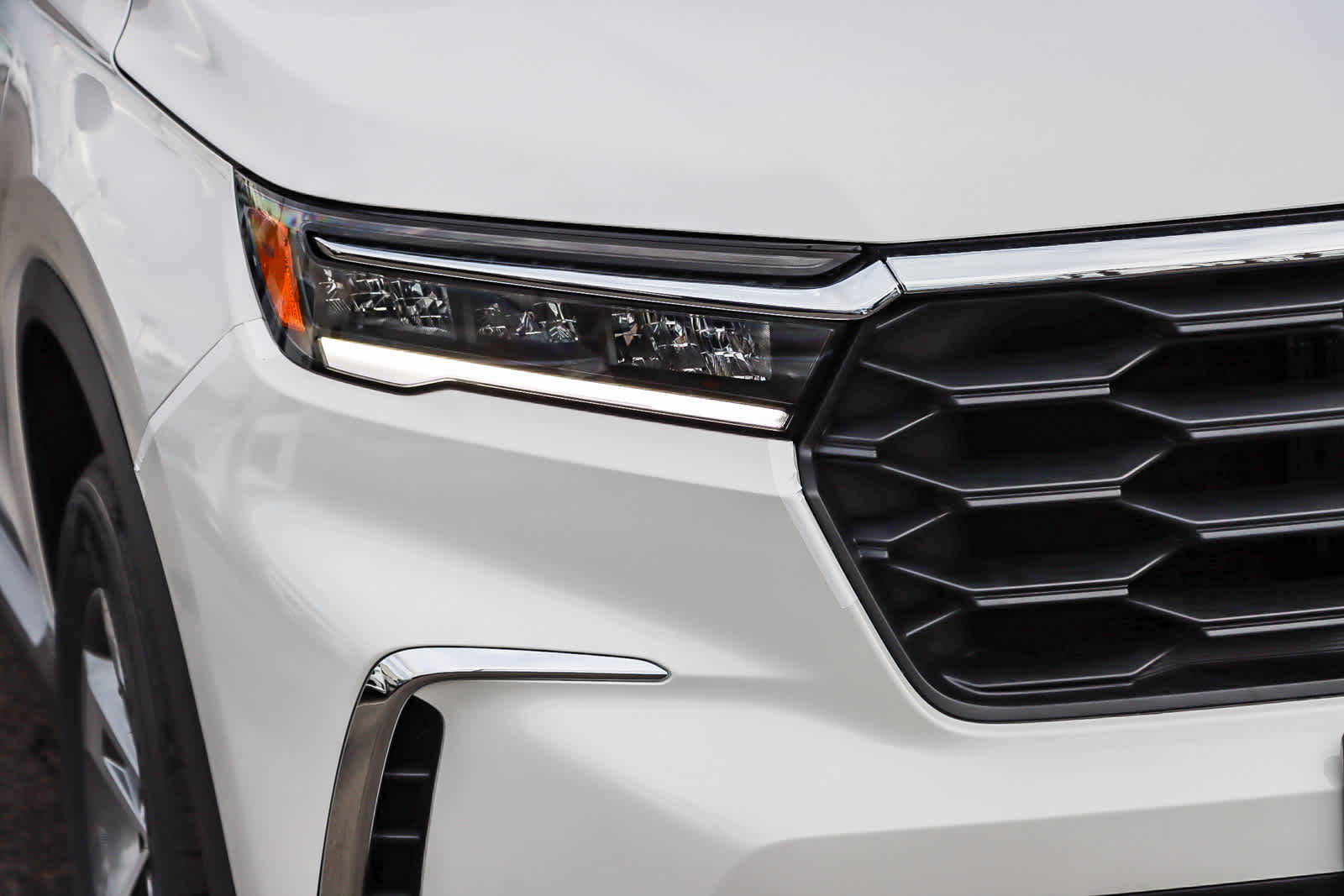 2025 Honda Pilot EX-L photo 4