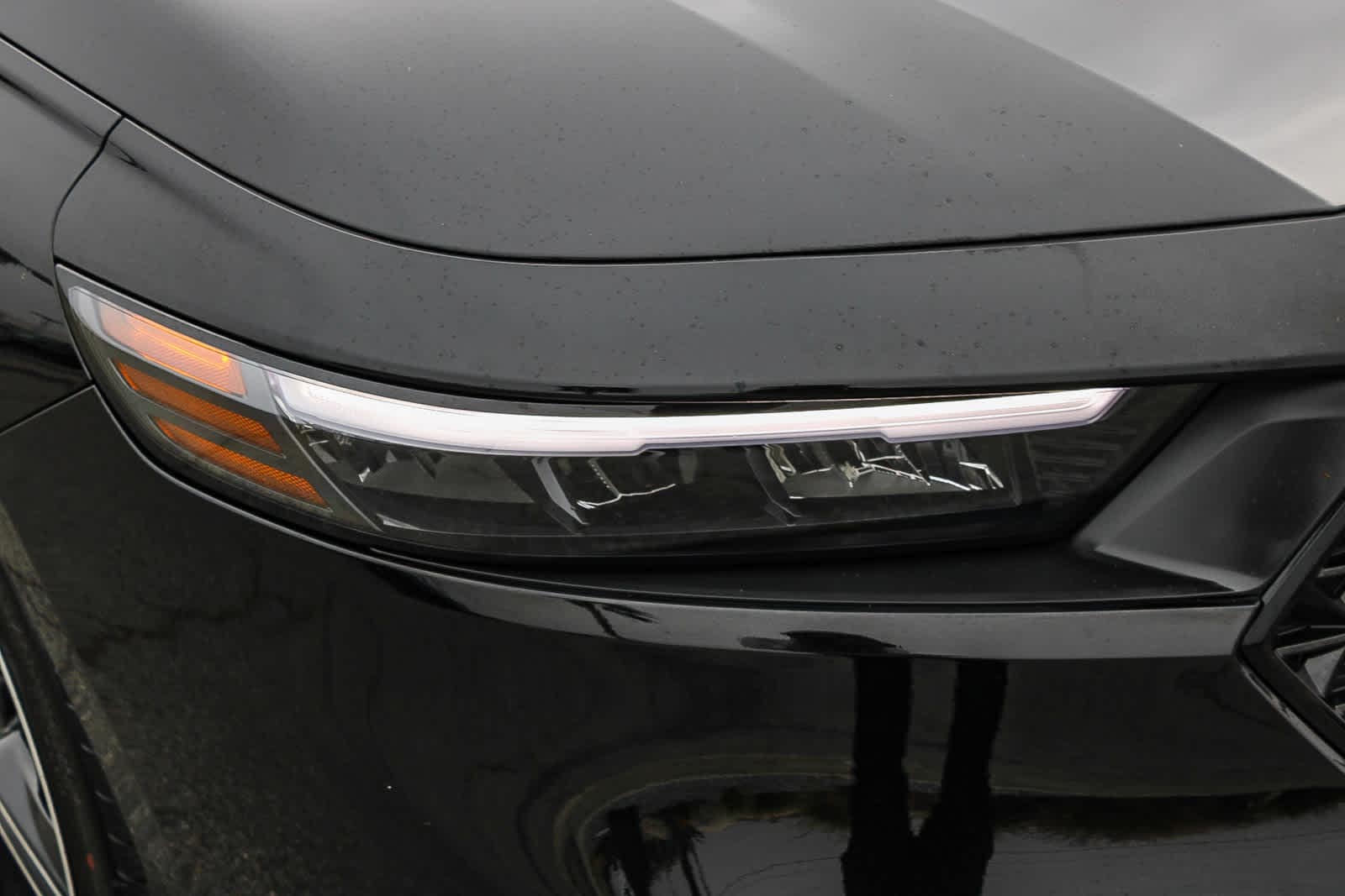 Thumbnail: 2025 Honda Accord - 4
