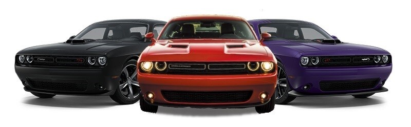 Dodge Challeger Trims.jpg
