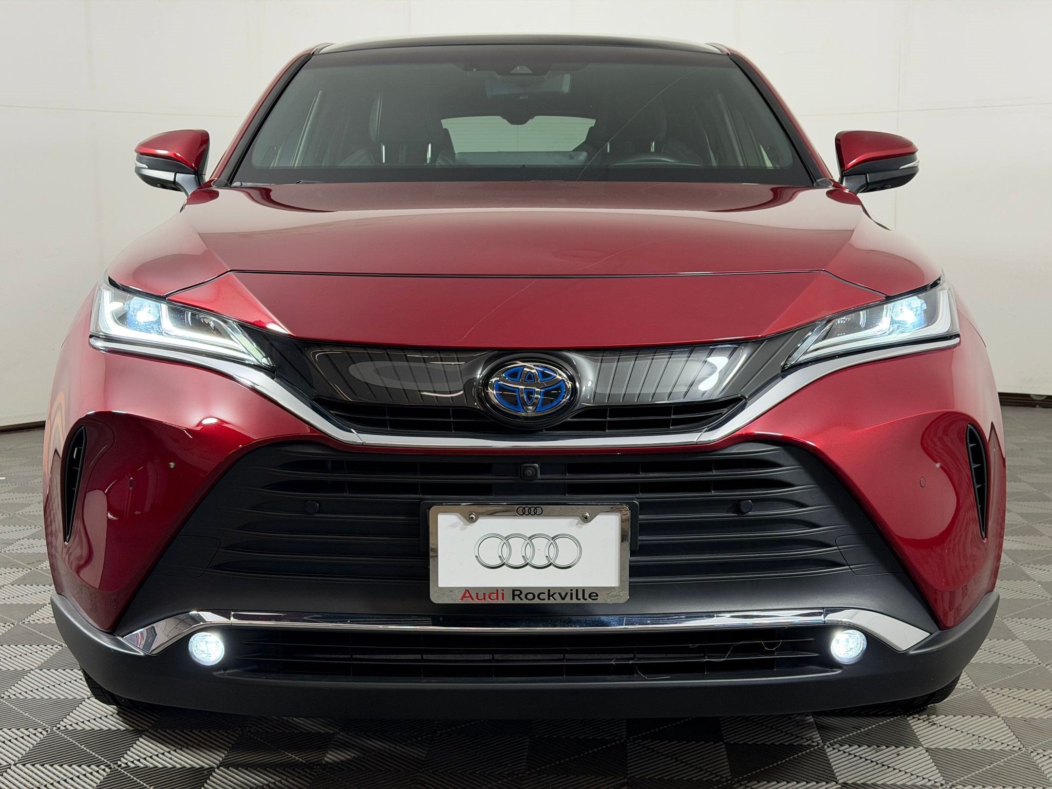 Venza Limited SUV
