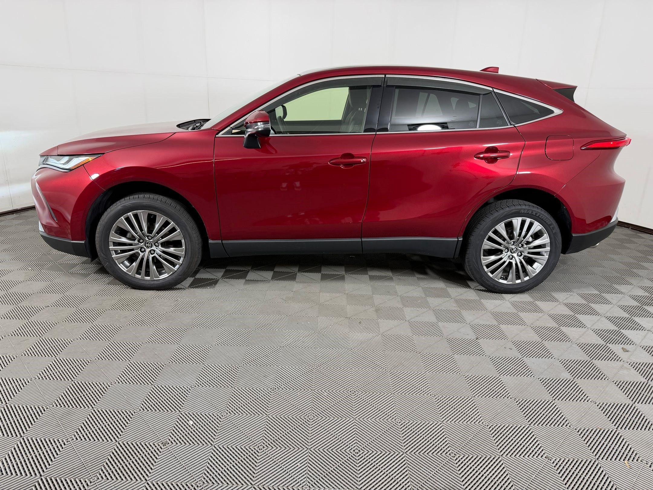 Venza Limited SUV