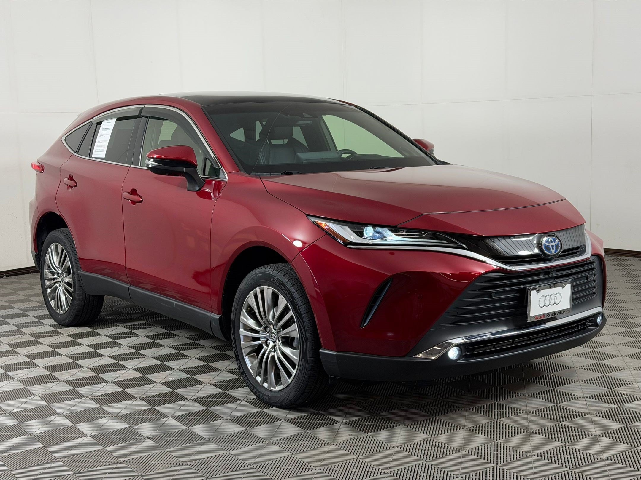 Venza Limited SUV