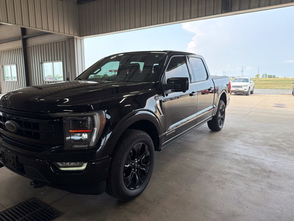Used 2022 Ford F-150 Platinum Truck