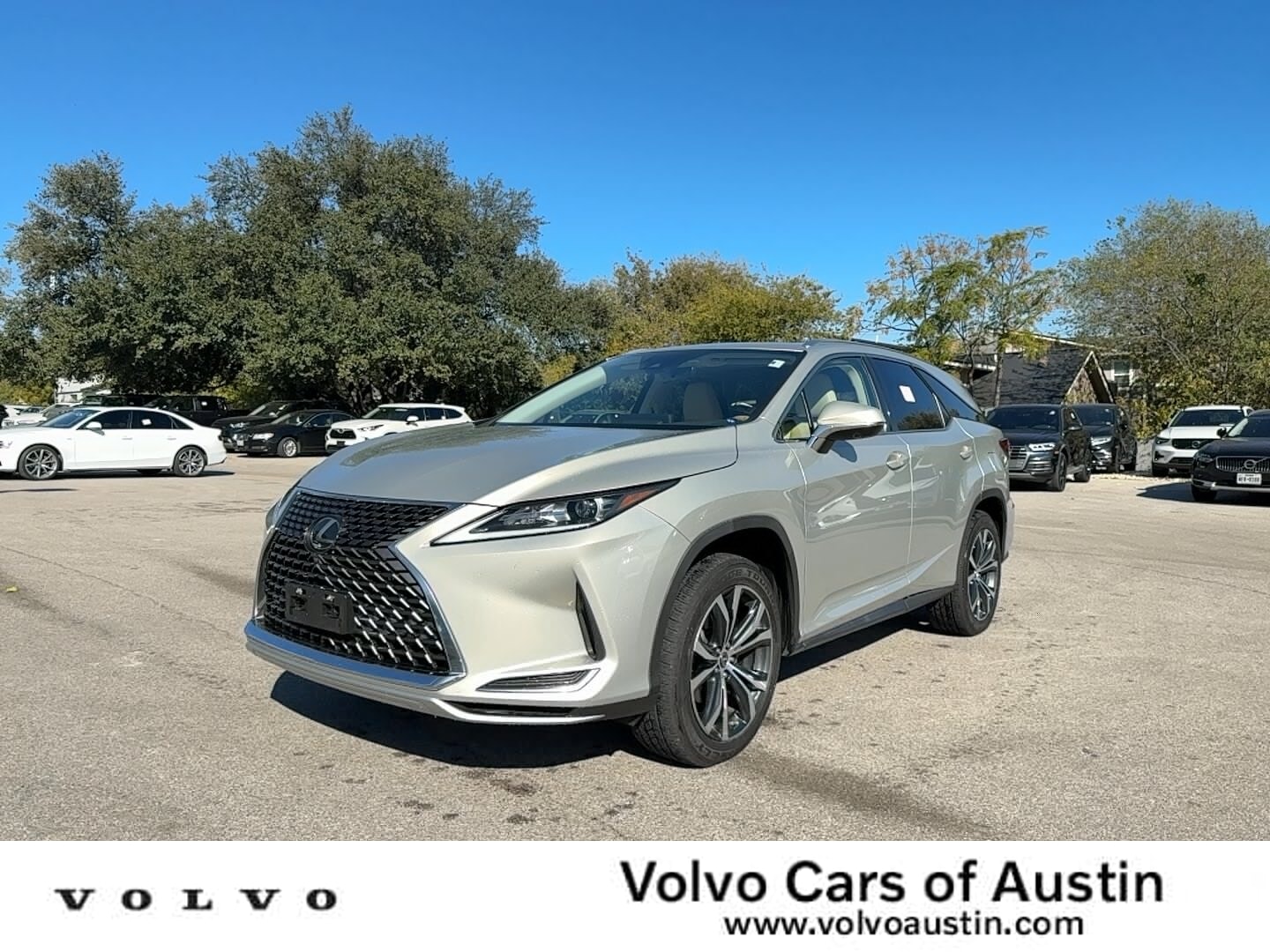 2021 Lexus RX 350's photo