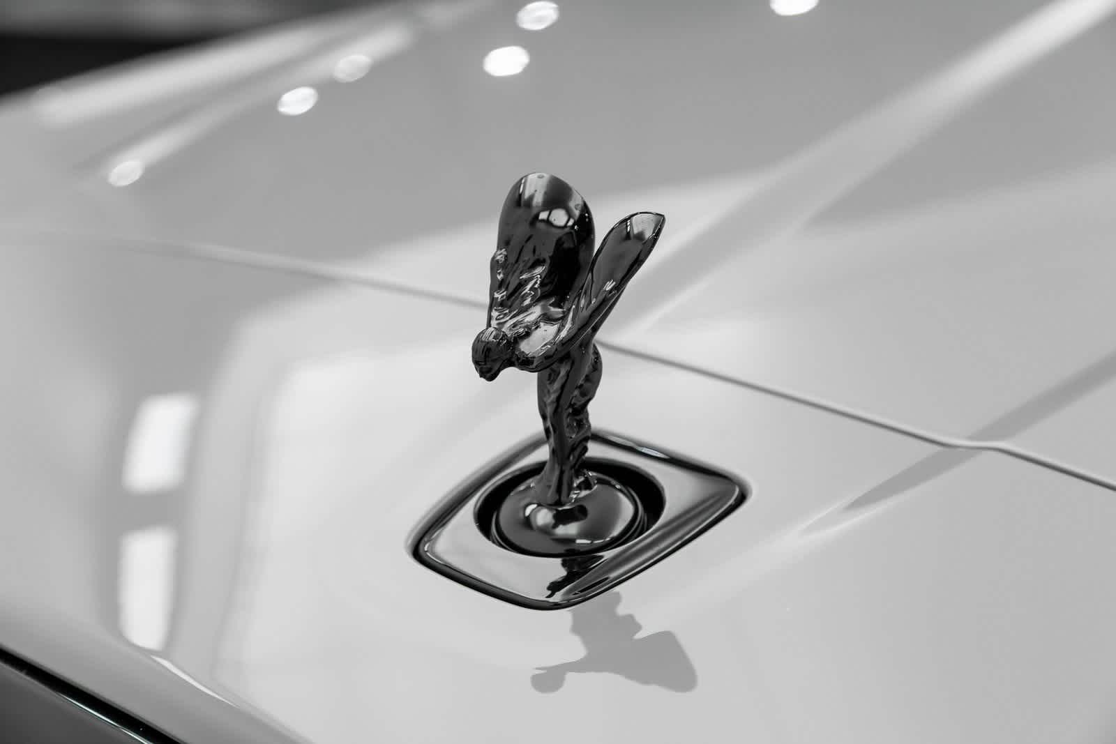 Thumbnail: 2025 Rolls-Royce Cullinan - 45