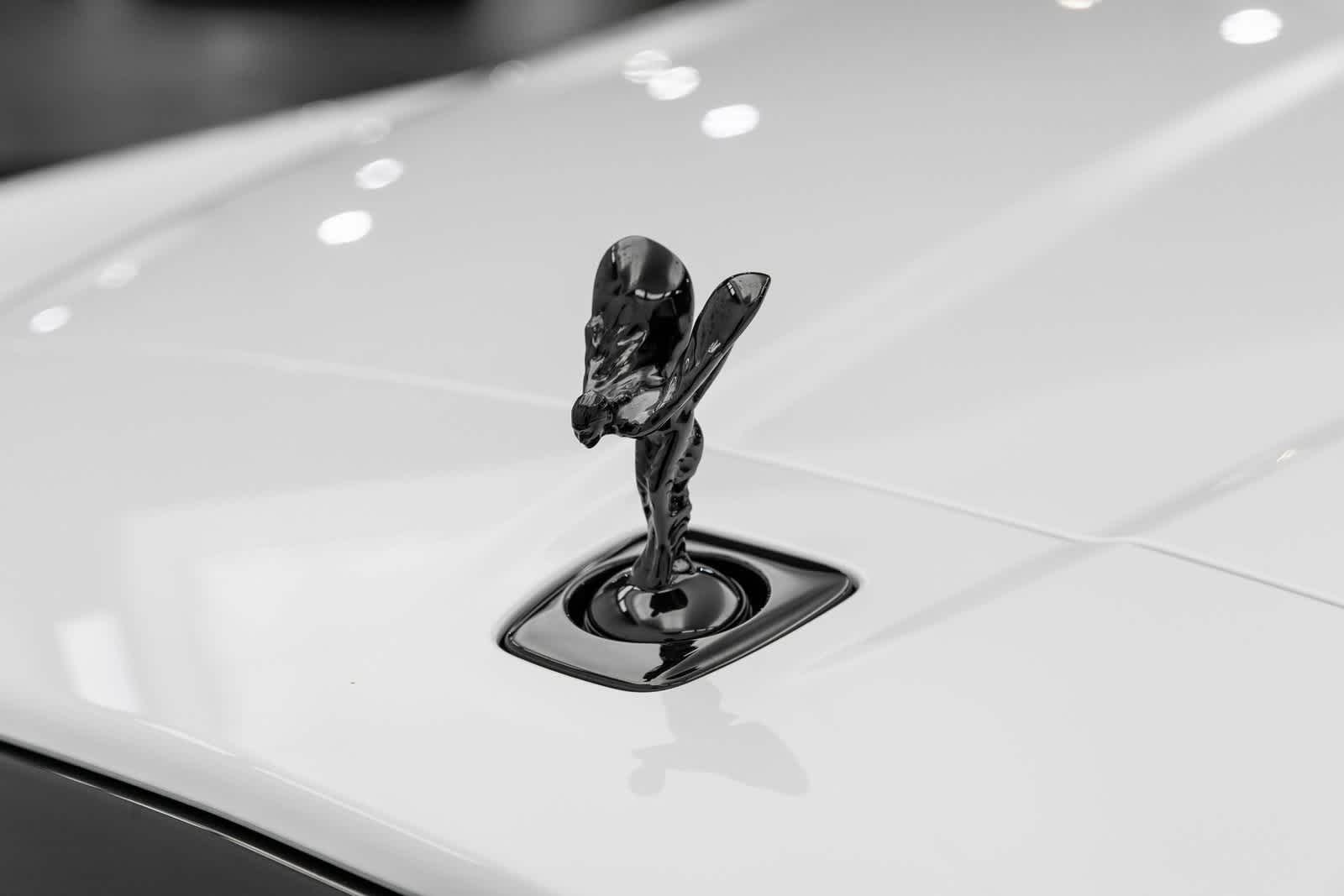 Thumbnail: 2025 Rolls-Royce Cullinan - 45