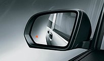 Blind Spot Assist Blind Spot Assist