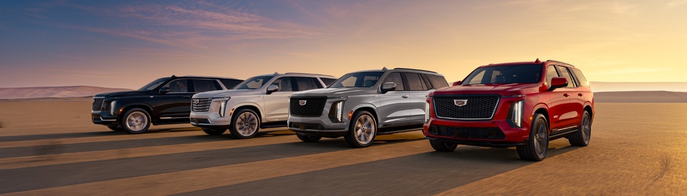 new CADILLAC Escalade