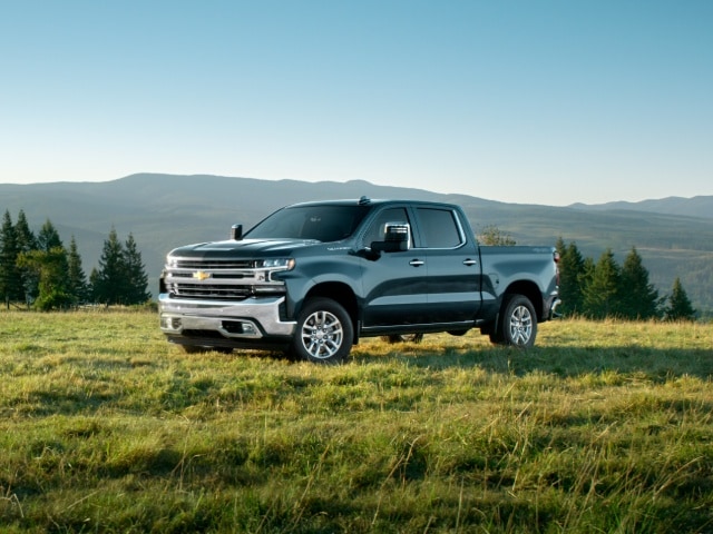 Chevy Silverado 1500 Silver Chevrolet 1500 LTZ parked on grassy hillside