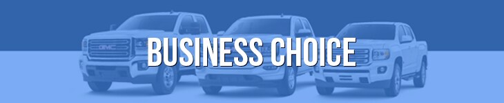bUSINESS-cHOICE.png