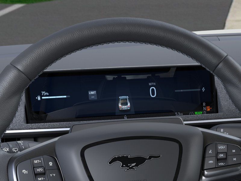 2025 Ford Mustang Mach-E GT - Photo 13