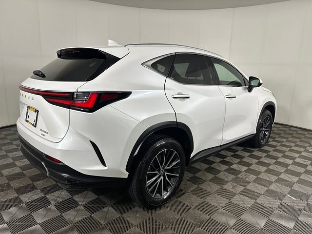 2024 Lexus NX 350h photo 3