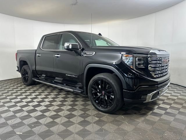 2022 Gmc Sierra 1500 Denali photo 2