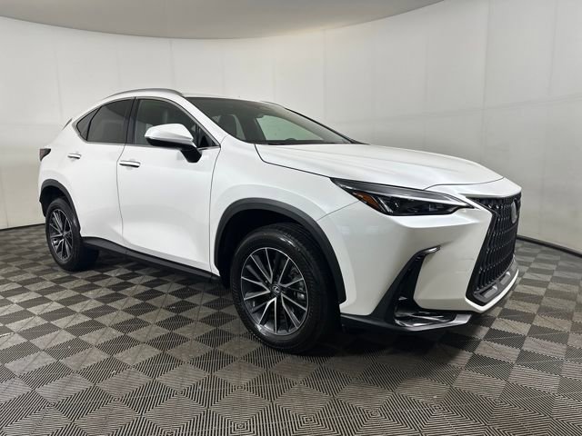 2024 Lexus NX 350h photo 2