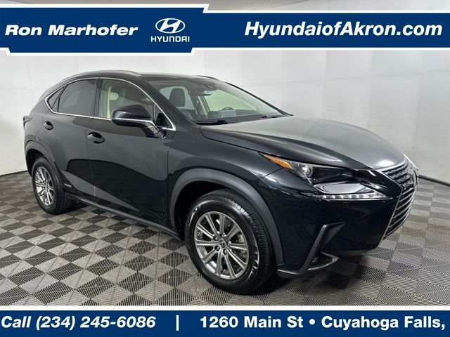 2020 Lexus NX Hybrid 300h's photo
