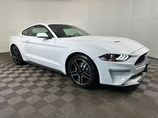 2023 Ford Mustang EcoBoost Premium photo 2