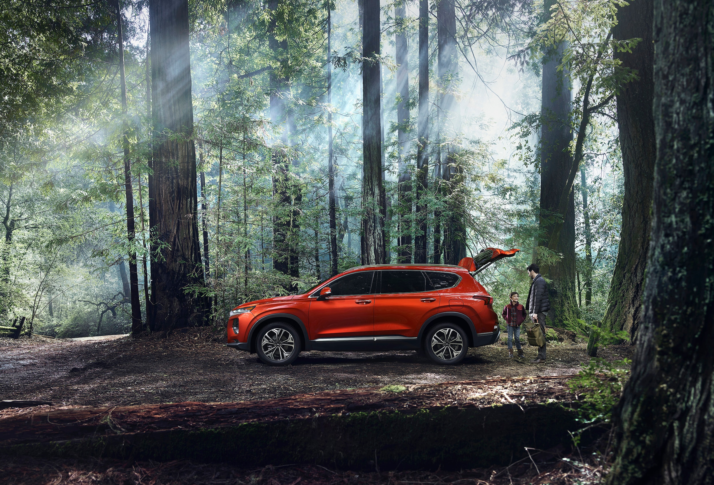 Compare 2019 Hyundai Santa Fe Vs Ford Edge Ron Marhofer Hyundai Of