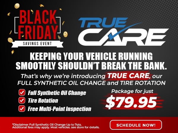 Black Friday Special 6