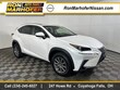 LEXUS NX 300