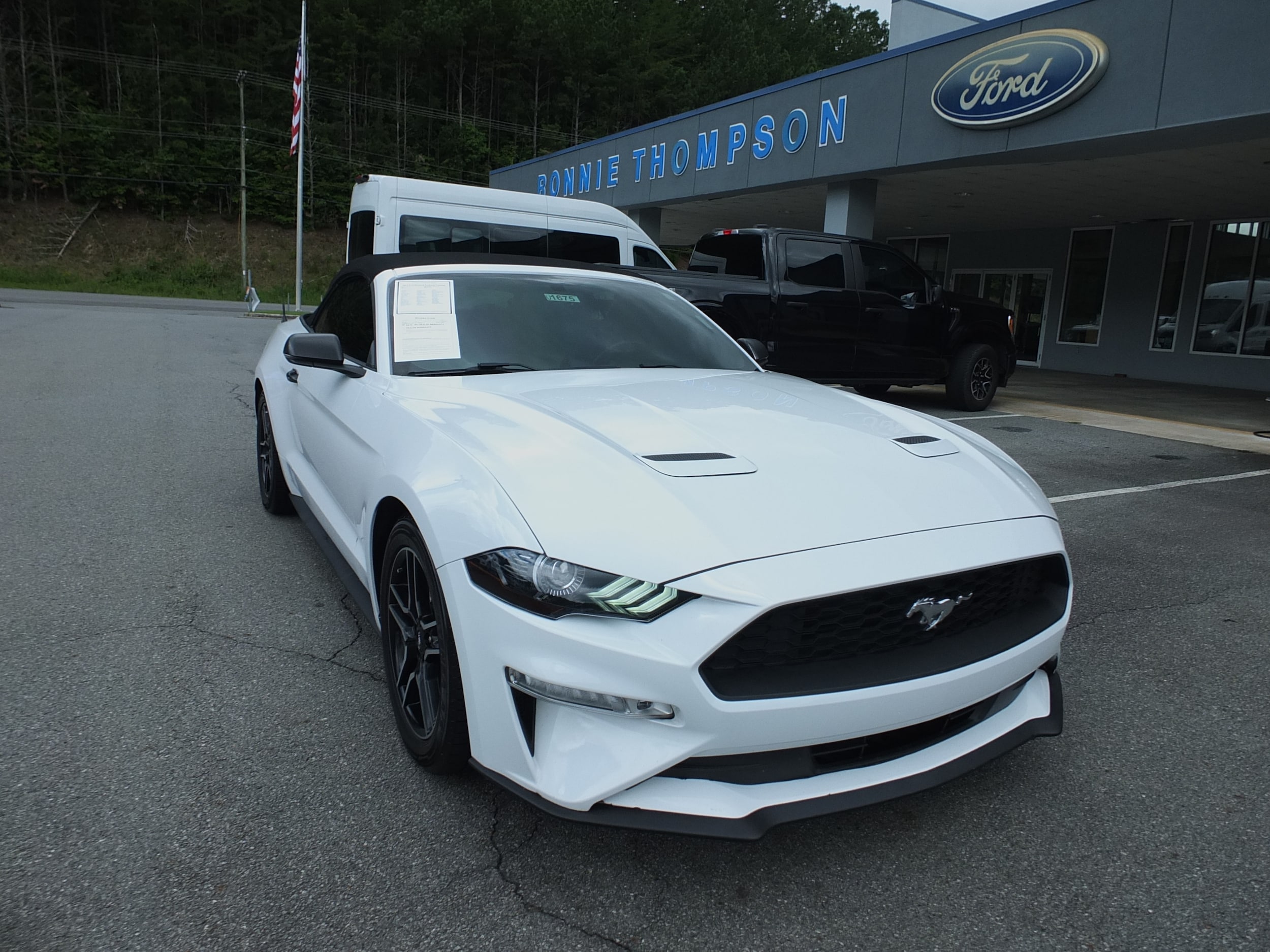 2019 Ford Mustang
