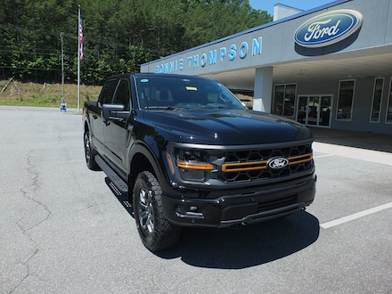 2025 Ford F-150 Tremor Truck