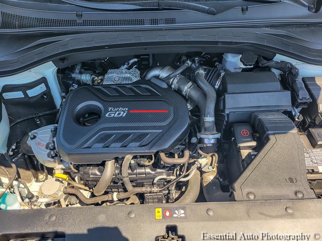 2019 Hyundai Santa Fe Ultimate - Photo 29
