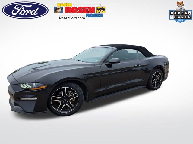 2023 Ford Mustang Convertible  2023 Ford Mustang Convertible