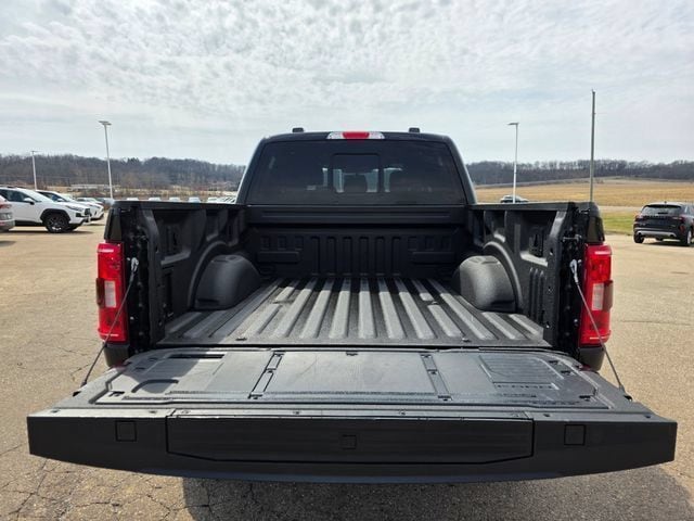 2023 Ford F-150 Tremor - Photo 47