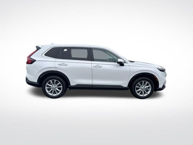 2024 Honda CR-V EX-L - Photo 6