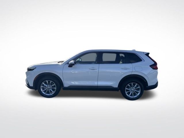 2024 Honda CR-V EX-L photo 2