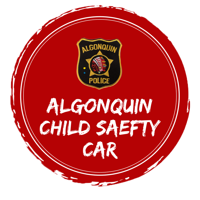 Giving Back at Rosen Hyundai Algonquin | Learn More