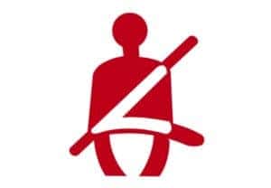 Seat Belt Warning Light 