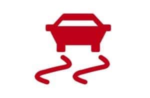 Electronic Stability Control Indicator 