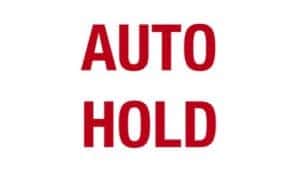 Auto Hold Indicator 