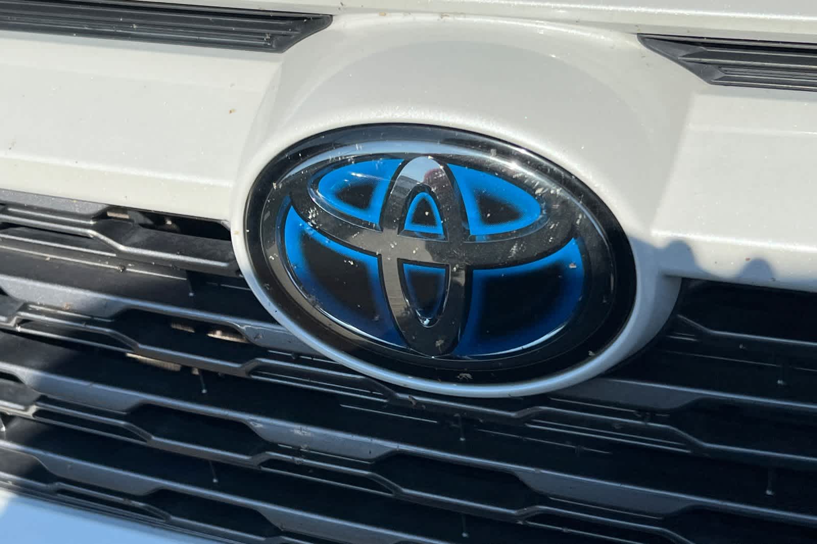 2019 Toyota RAV4 XSE 10