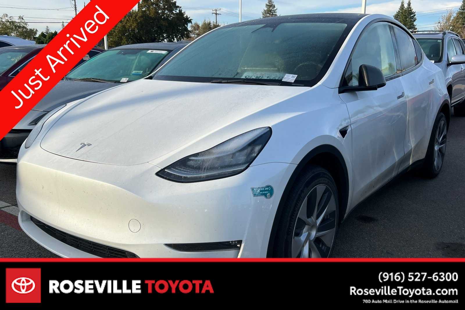 Thumbnail: 2023 Tesla Model Y - 1