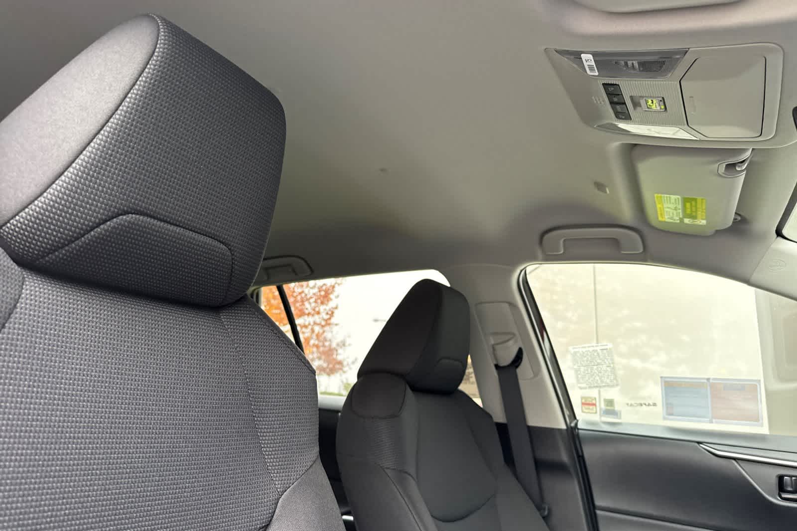 Thumbnail: 2025 Toyota RAV4 - 17