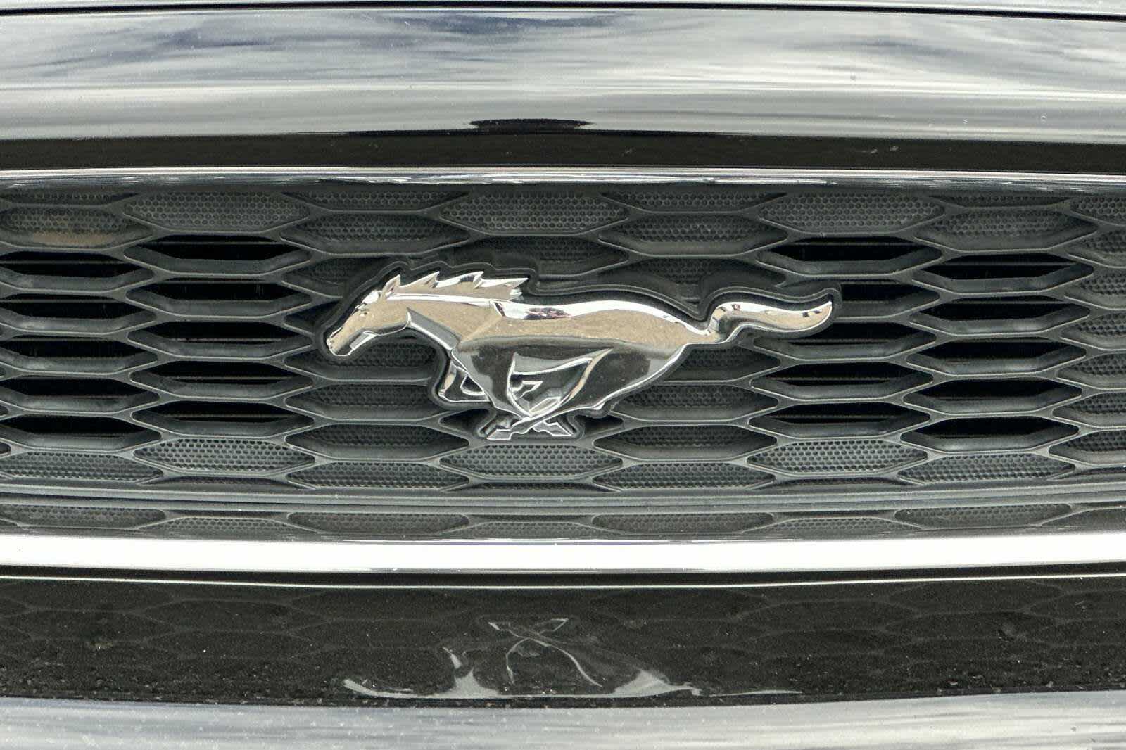 Thumbnail: 2014 Ford Mustang - 10