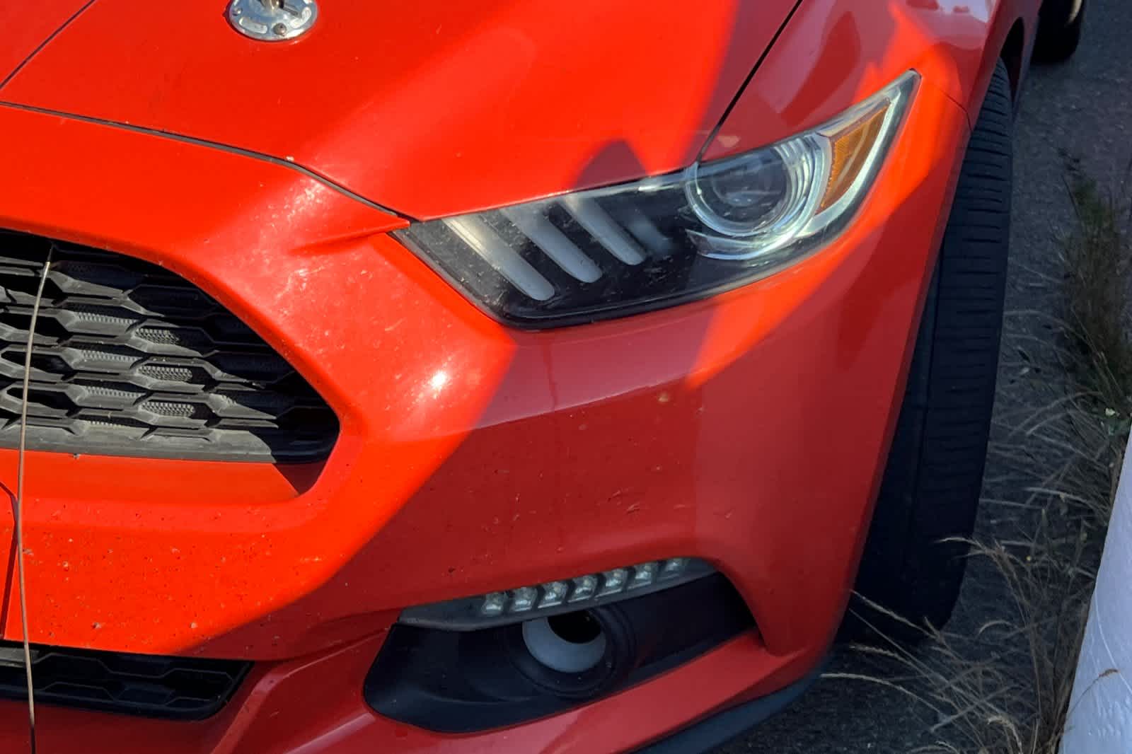 Thumbnail: 2015 Ford Mustang - 11