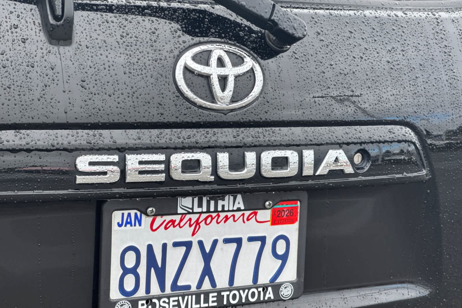 Thumbnail: 2019 Toyota Sequoia - 31