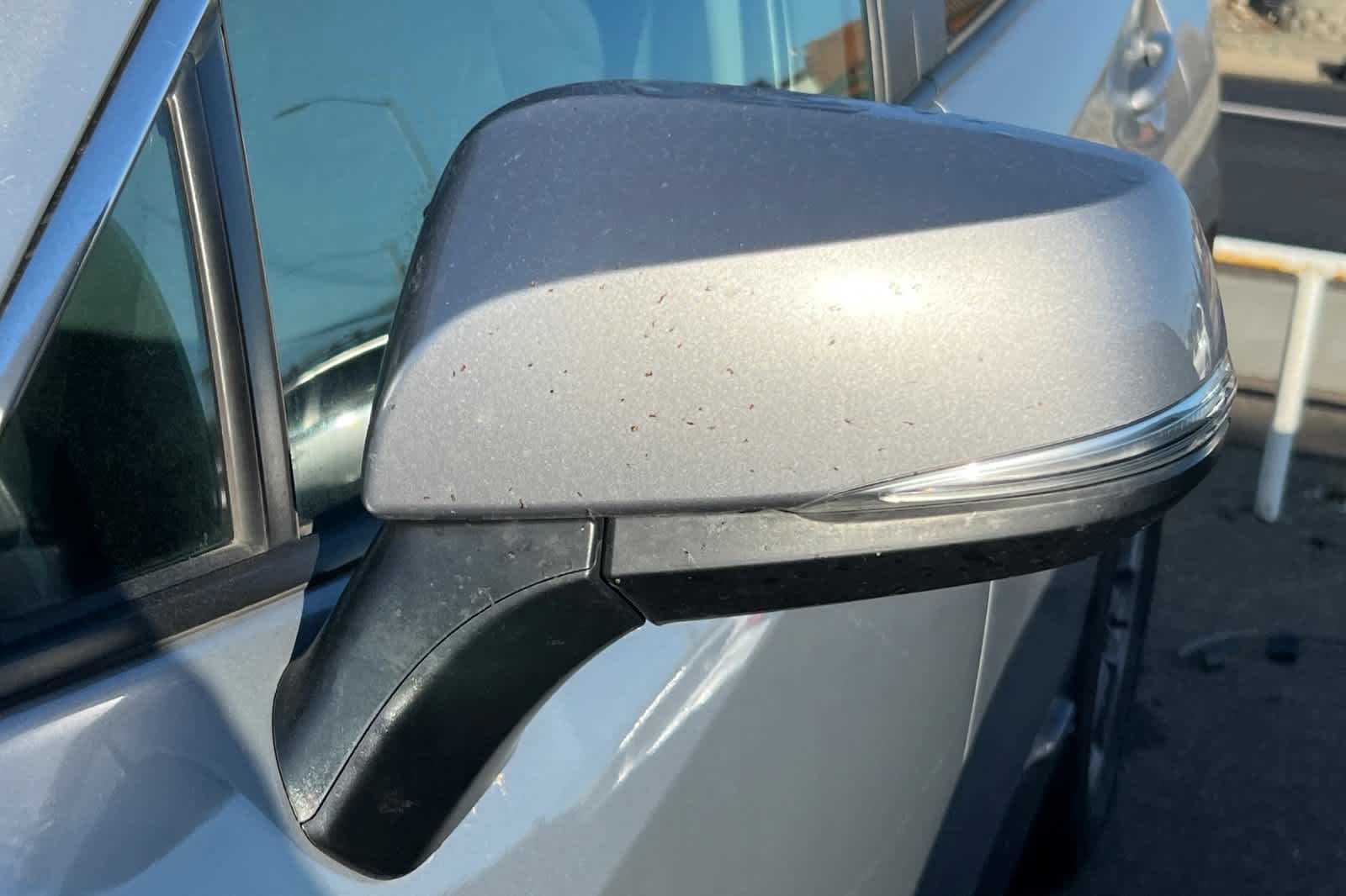 Thumbnail: 2025 Toyota RAV4 - 20