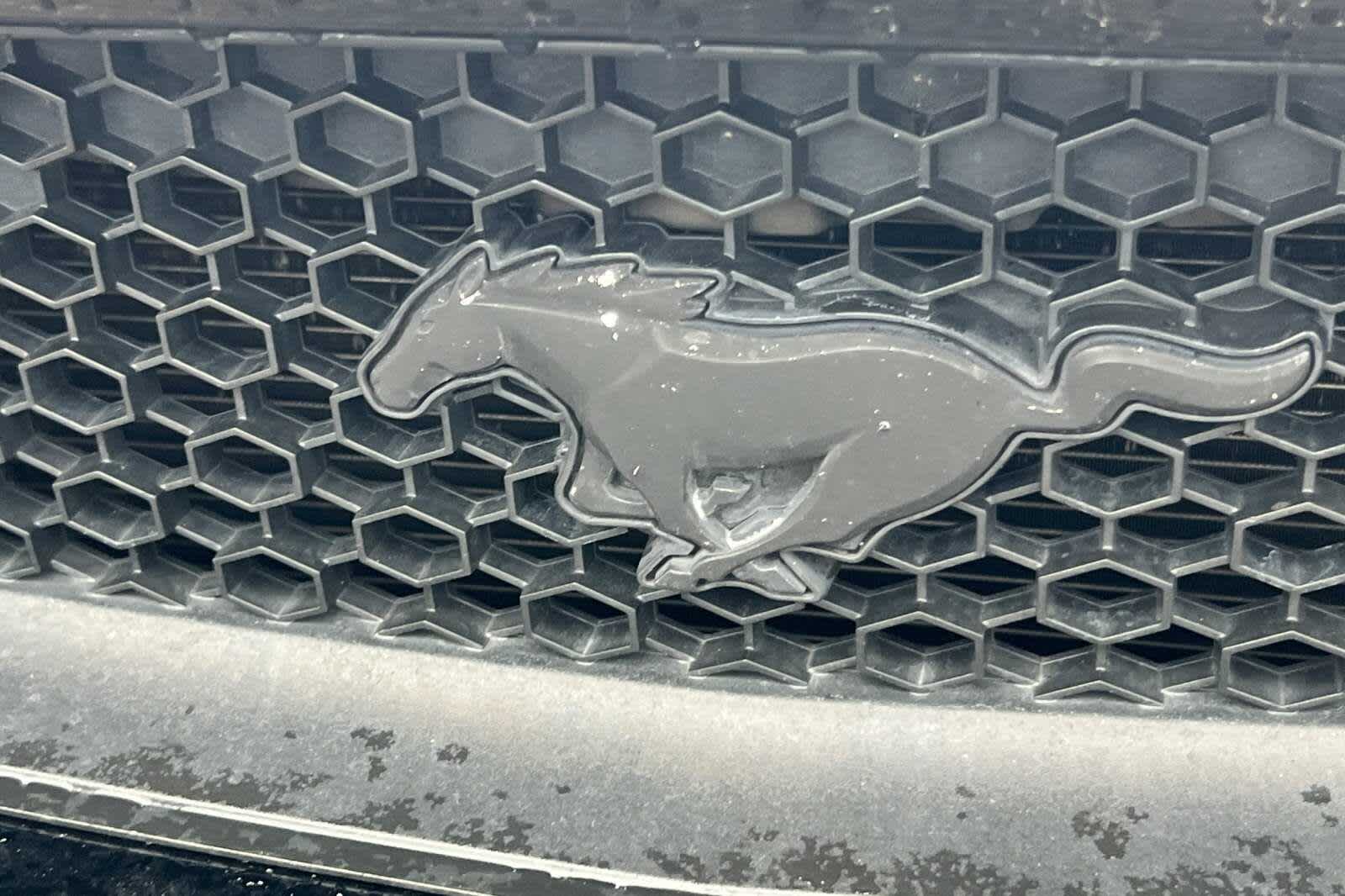 Thumbnail: 2017 Ford Mustang - 10