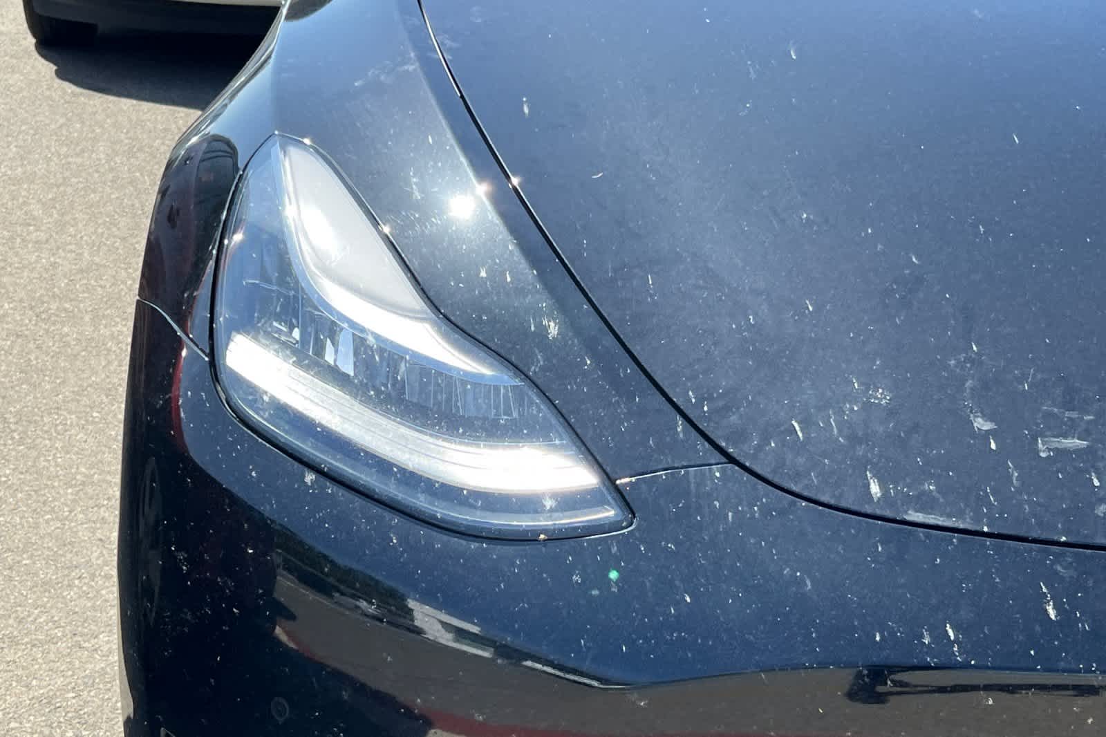 Thumbnail: 2020 Tesla Model Y - 14