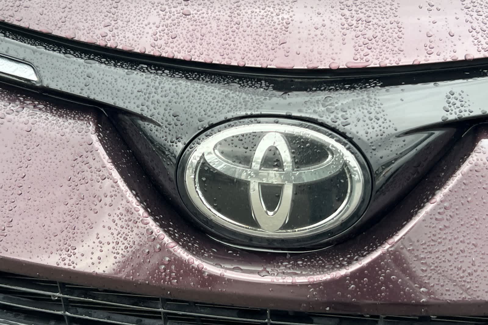Thumbnail: 2017 Toyota RAV4 - 10