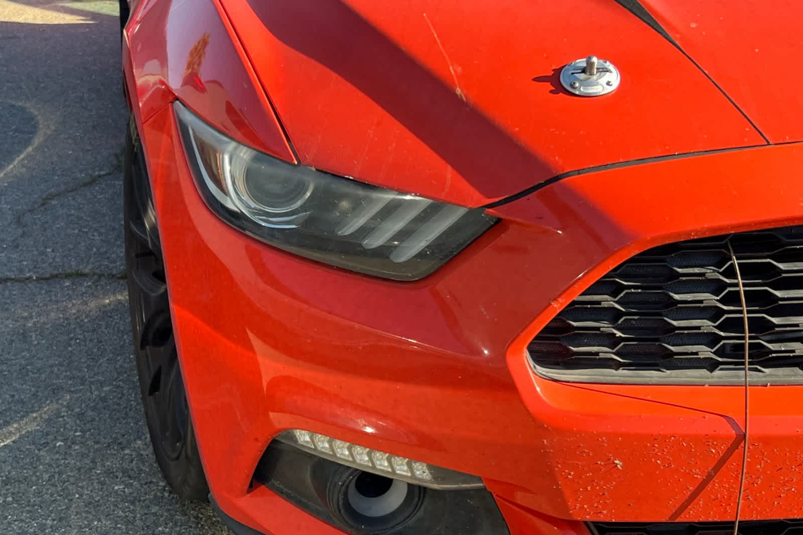 Thumbnail: 2015 Ford Mustang - 14