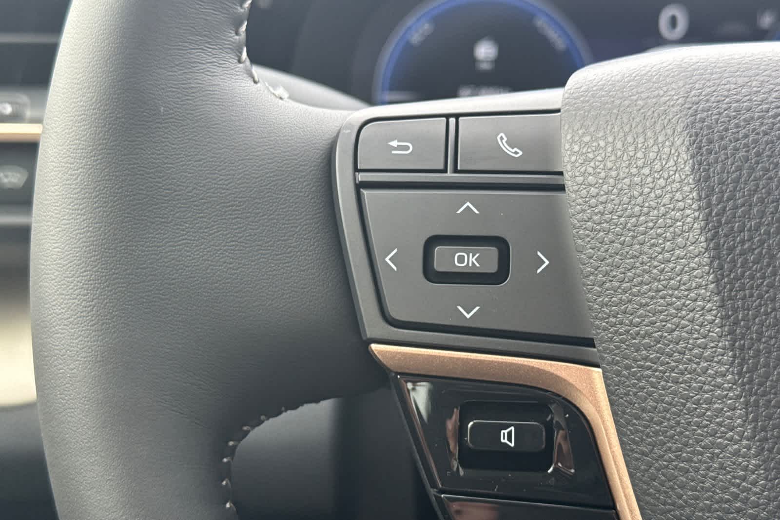 Thumbnail: 2026 Toyota Crown - 26