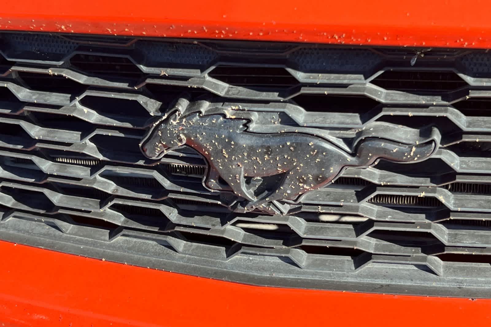 Thumbnail: 2015 Ford Mustang - 13