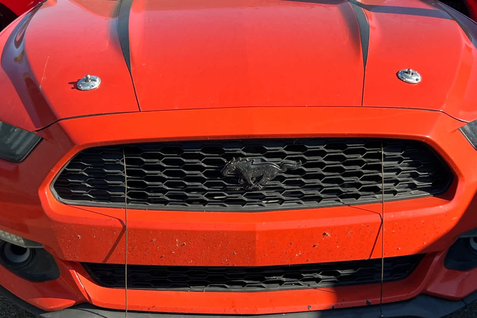 Thumbnail: 2015 Ford Mustang - 12