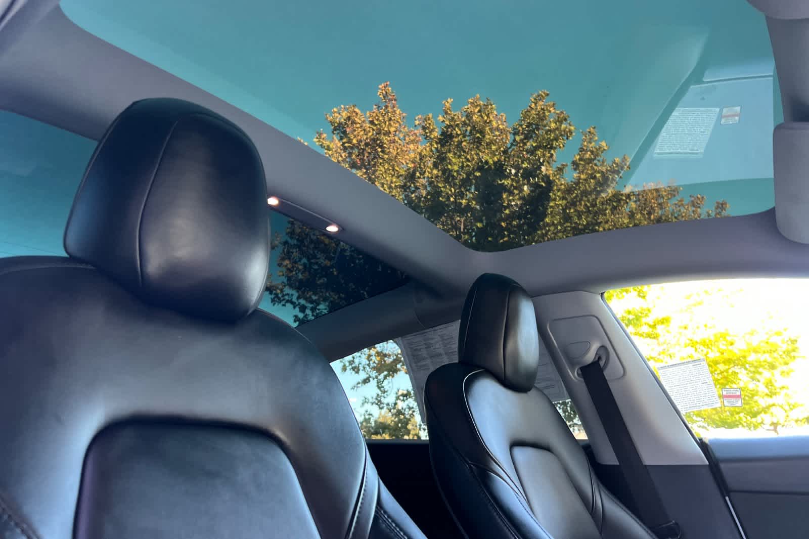 Thumbnail: 2021 Tesla Model 3 - 17